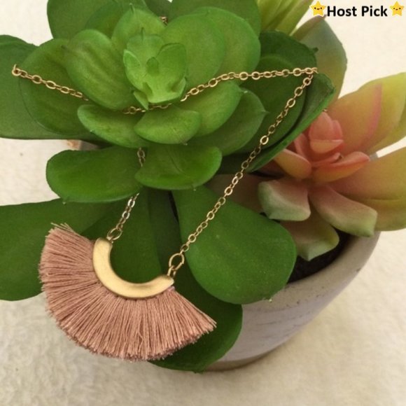 🎈3/$25 MAURICES Blush Fringe Gold Tone Necklace
